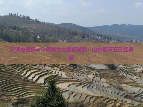 宁波去重庆wfc观景台大型旅游团：山水都市五日经典游