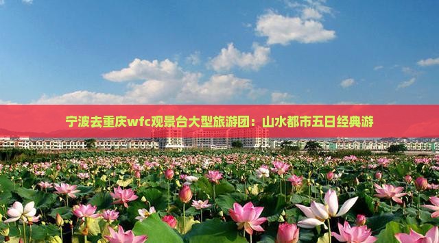 宁波去重庆wfc观景台大型旅游团：山水都市五日经典游
