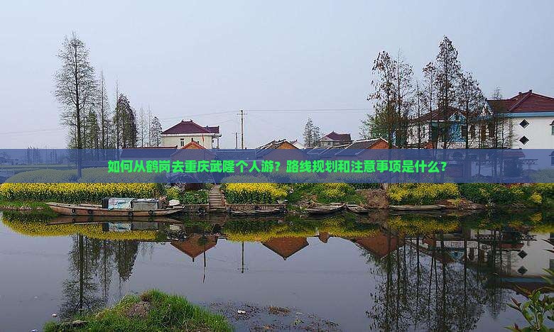 如何从鹤岗去重庆武隆个人游？路线规划和注意事项是什么？