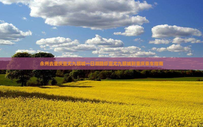 永州去重庆蚩尤九黎城一日游路虾蚩尤九黎城到重庆乘车指南