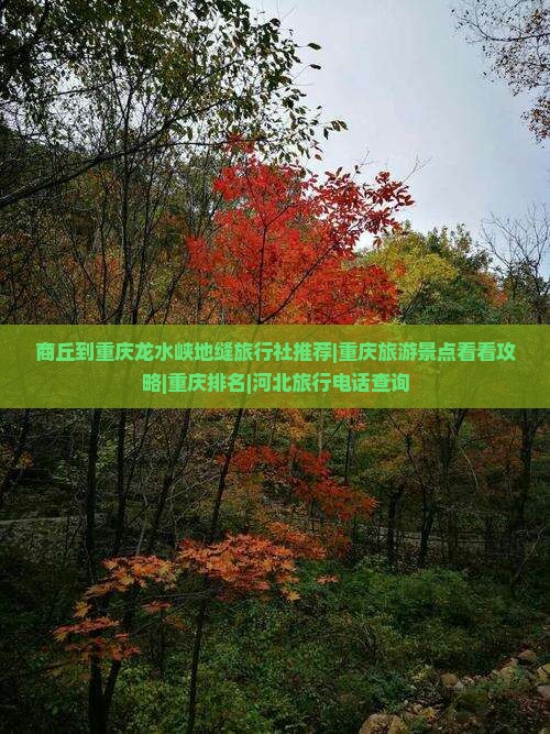 商丘到重庆龙水峡地缝旅行社推荐|重庆旅游景点看看攻略|重庆排名|河北旅行电话查询