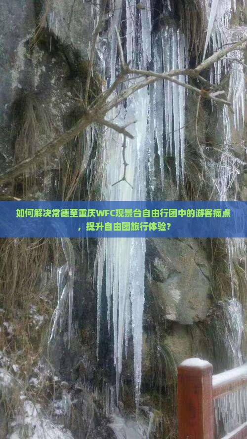 如何解决常德至重庆WFC观景台自由行团中的游客痛点，提升自由团旅行体验？
