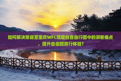 如何解决常德至重庆WFC观景台自由行团中的游客痛点，提升自由团旅行体验？