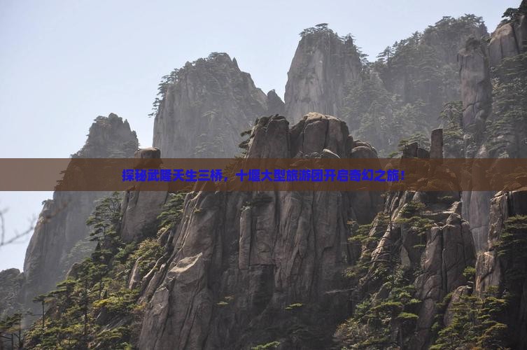 探秘武隆天生三桥，十堰大型旅游团开启奇幻之旅！
