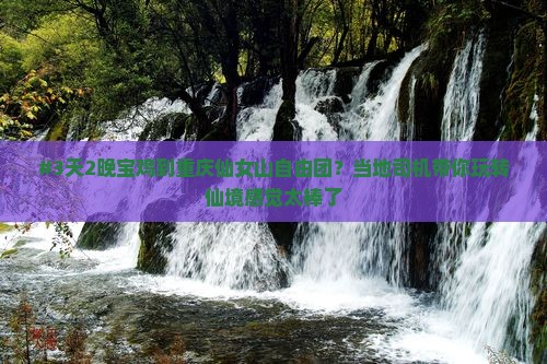 #3天2晚宝鸡到重庆仙女山自由团？当地司机带你玩转仙境感觉太棒了
