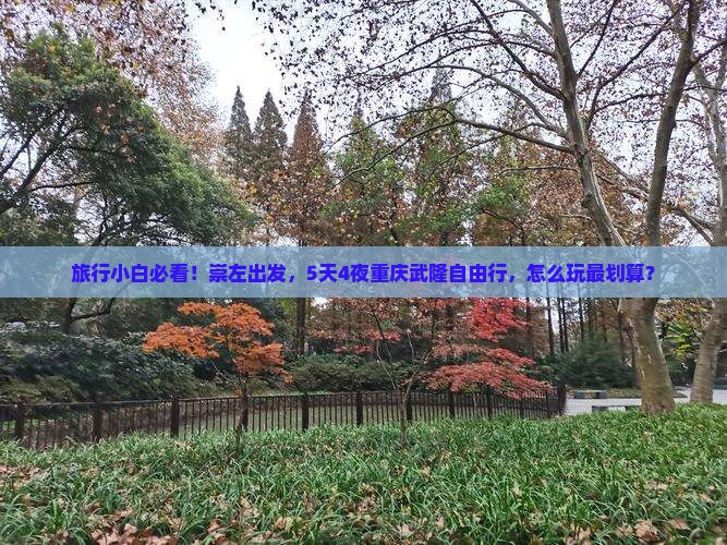 旅行小白必看！崇左出发，5天4夜重庆武隆自由行，怎么玩最划算？
