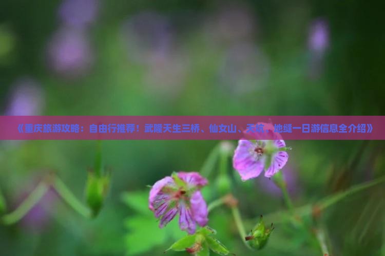 《重庆旅游攻略：自由行推荐！武隆天生三桥、仙女山、天坑、地缝一日游信息全介绍》