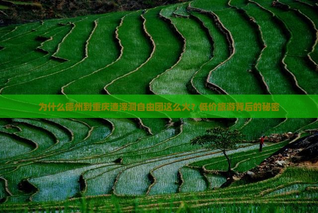为什么德州到重庆渣滓洞自由团这么火？低价旅游背后的秘密