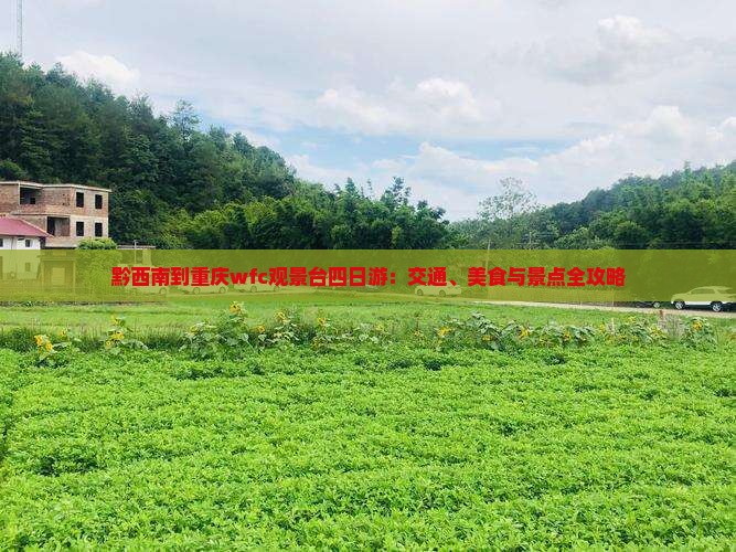 黔西南到重庆wfc观景台四日游：交通、美食与景点全攻略