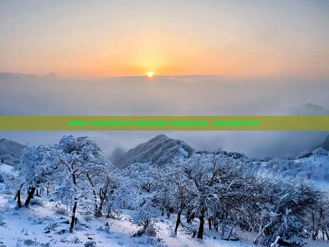 如何在大兴安岭至重庆WFC观景台自由行中避免常见痛点，实现完美旅行体验？