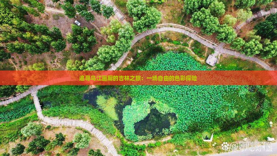 追寻乌江画廊的吉林之旅：一场自由的色彩探险