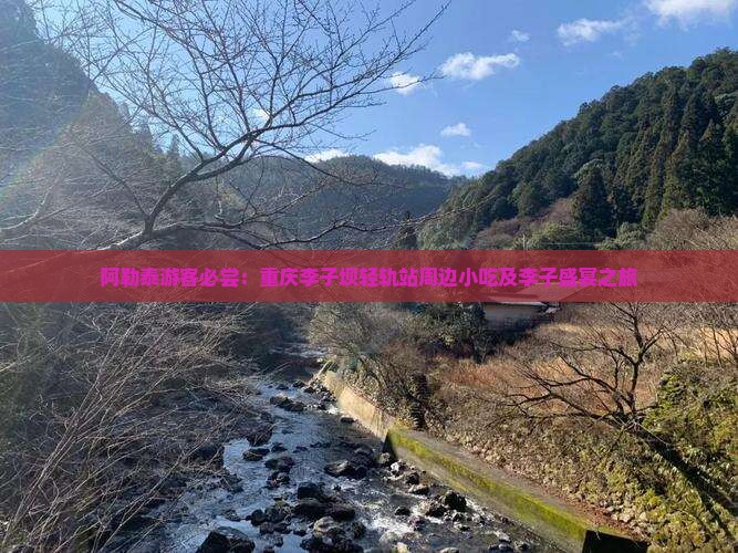 阿勒泰游客必尝：重庆李子坝轻轨站周边小吃及李子盛宴之旅