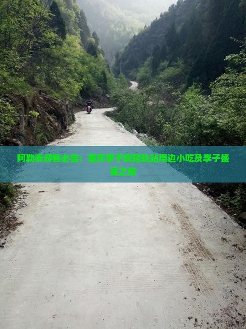 阿勒泰游客必尝：重庆李子坝轻轨站周边小吃及李子盛宴之旅