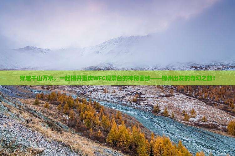 穿越千山万水，一起揭开重庆WFC观景台的神秘面纱——锦州出发的奇幻之旅！