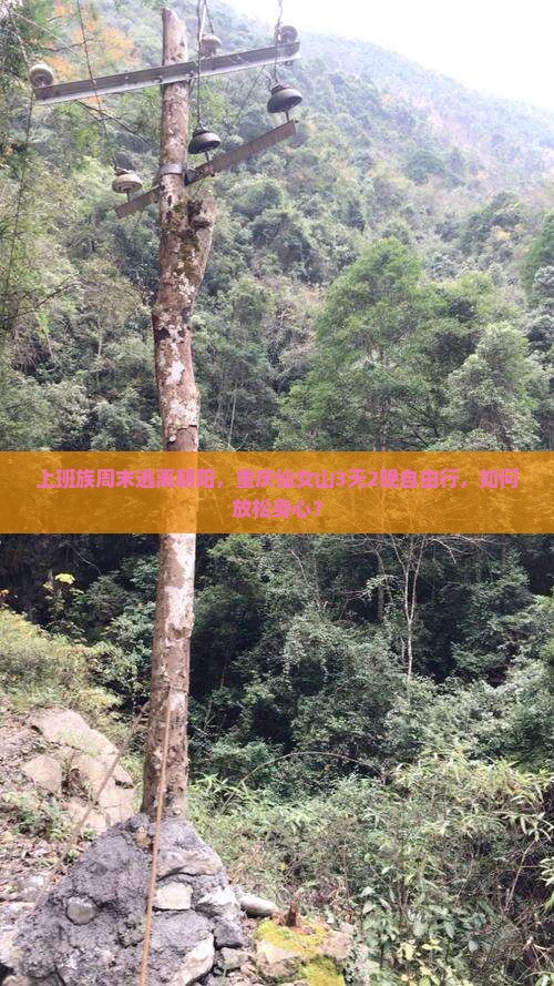 上班族周末逃离朝阳，重庆仙女山3天2晚自由行，如何放松身心？