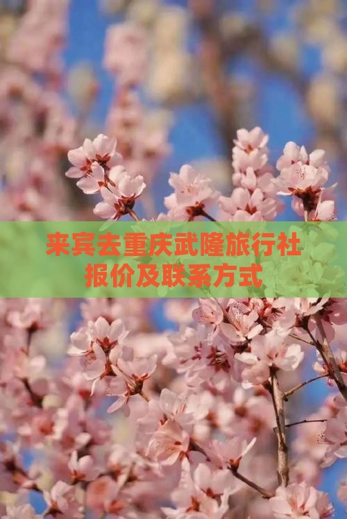 来宾去重庆武隆旅行社报价及联系方式
