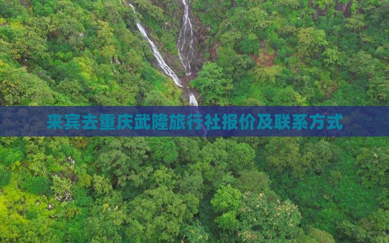 来宾去重庆武隆旅行社报价及联系方式