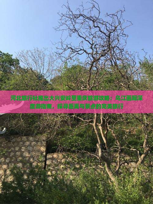 河北旅行社推出大兴安岭至重庆旅游攻略：乌江画廊深度游指南，探寻距离与景点的完美旅行