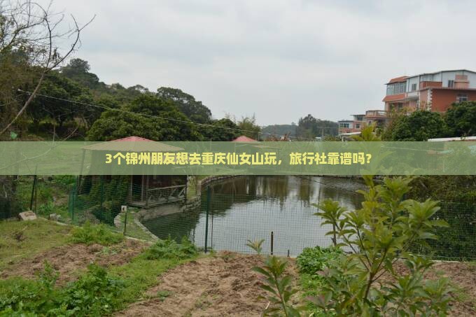 3个锦州朋友想去重庆仙女山玩，旅行社靠谱吗？