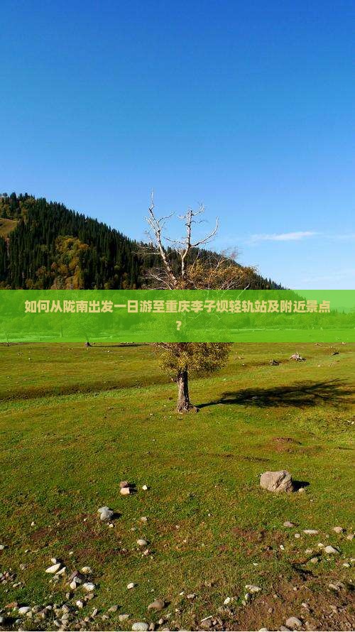 如何从陇南出发一日游至重庆李子坝轻轨站及附近景点？