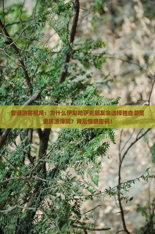 普通游客视角：为什么伊犁哈萨克朋友会选择独自游览重庆渣滓洞？背后情感密码！
