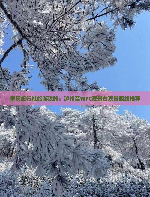 重庆旅行社旅游攻略：泸州至WFC观景台观景路线推荐