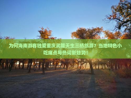为何海南游客独爱重庆武隆天生三桥旅游？当地特色小吃痛点与热词新趋势！
