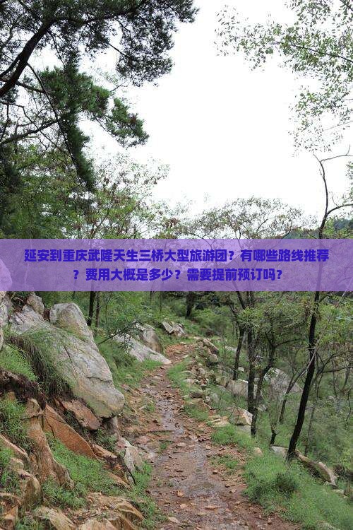 延安到重庆武隆天生三桥大型旅游团？有哪些路线推荐？费用大概是多少？需要提前预订吗？