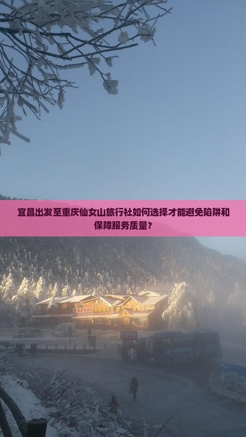 宜昌出发至重庆仙女山旅行社如何选择才能避免陷阱和保障服务质量？