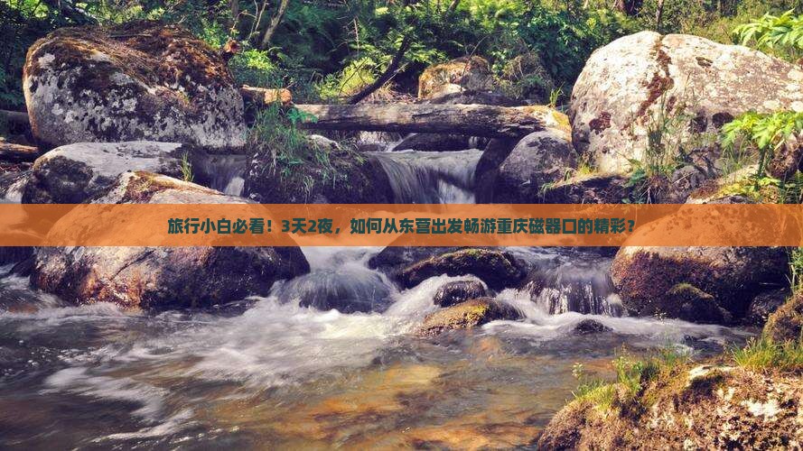 旅行小白必看！3天2夜，如何从东营出发畅游重庆磁器口的精彩？