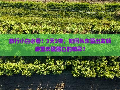 旅行小白必看！3天2夜，如何从东营出发畅游重庆磁器口的精彩？