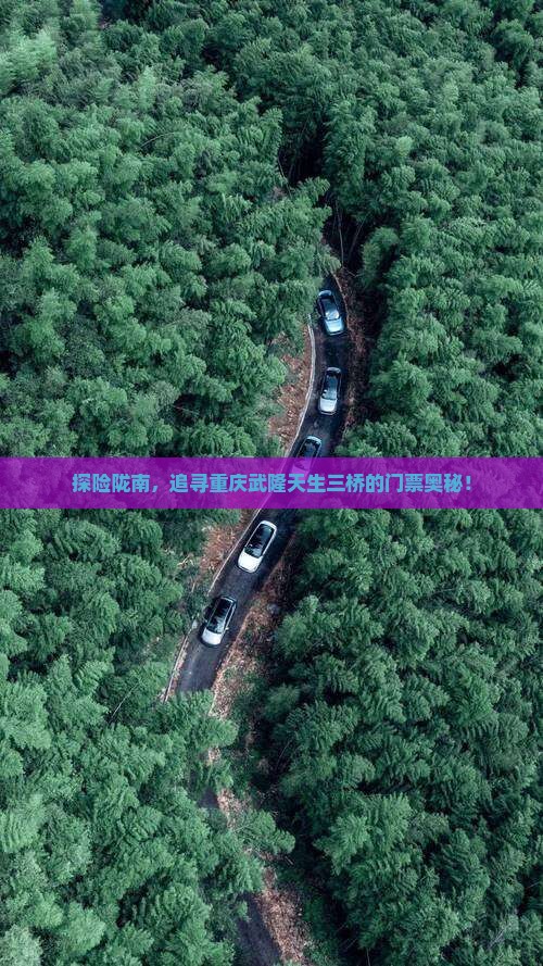 探险陇南，追寻重庆武隆天生三桥的门票奥秘！