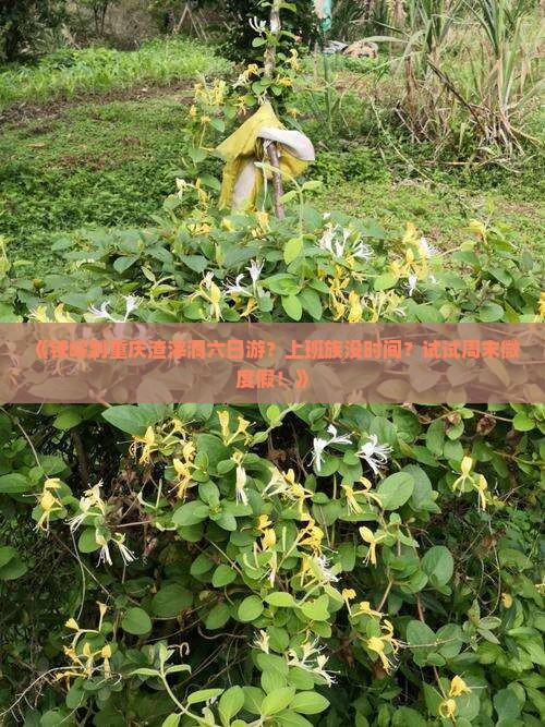 《铁岭到重庆渣滓洞六日游？上班族没时间？试试周末微度假！》