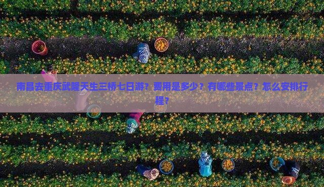 南昌去重庆武隆天生三桥七日游？费用是多少？有哪些景点？怎么安排行程？