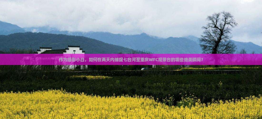 作为摄影小白，如何在两天内捕捉七台河至重庆WFC观景台的哪些绝美瞬间？