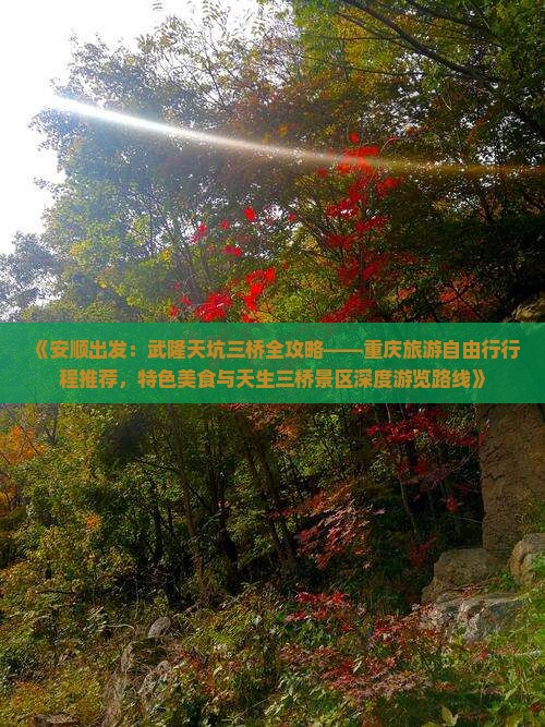 《安顺出发：武隆天坑三桥全攻略——重庆旅游自由行行程推荐，特色美食与天生三桥景区深度游览路线》
