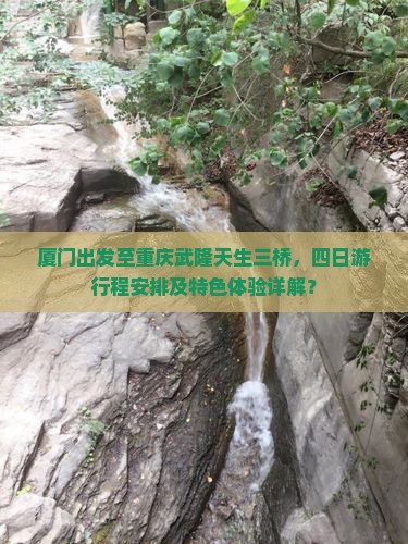 厦门出发至重庆武隆天生三桥，四日游行程安排及特色体验详解？