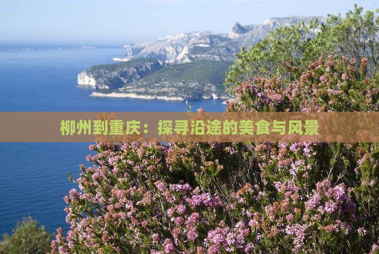 柳州到重庆：探寻沿途的美食与风景