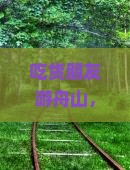 吃货朋友游舟山，怎么安排3天重庆武隆天生三桥之旅，还蘑遍当地热门小吃？