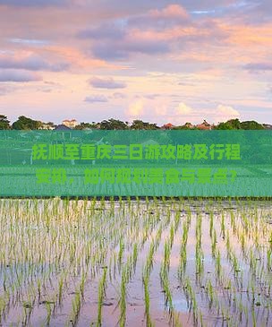 抚顺至重庆三日游攻略及行程安排，如何规划美食与景点？