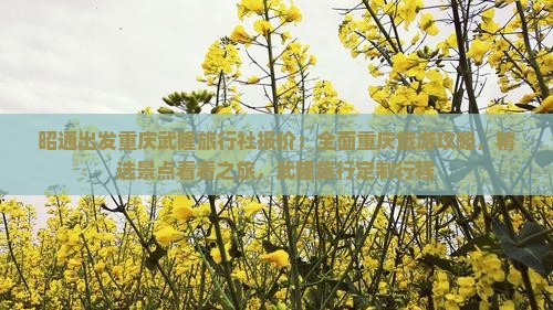 昭通出发重庆武隆旅行社报价：全面重庆旅游攻略，精选景点看看之旅，武隆旅行定制行程