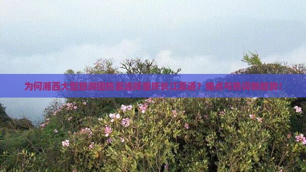 为何湘西大型旅游团热衷选择重庆长江索道？痛点与热词新趋势！