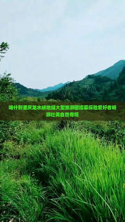 喀什到重庆龙水峡地缝大型旅游团招募探险爱好者畅游壮美自然奇观