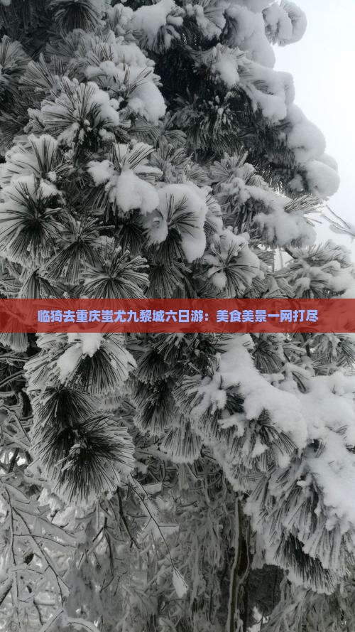 临猗去重庆蚩尤九黎城六日游：美食美景一网打尽