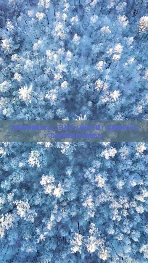 海西到重庆仙女山二日游怎么安排行程？需要准备什么？沿途有哪些好玩的地方？