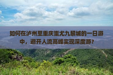 如何在泸州至重庆蚩尤九黎城的一日游中，避开人流高峰实现深度游？