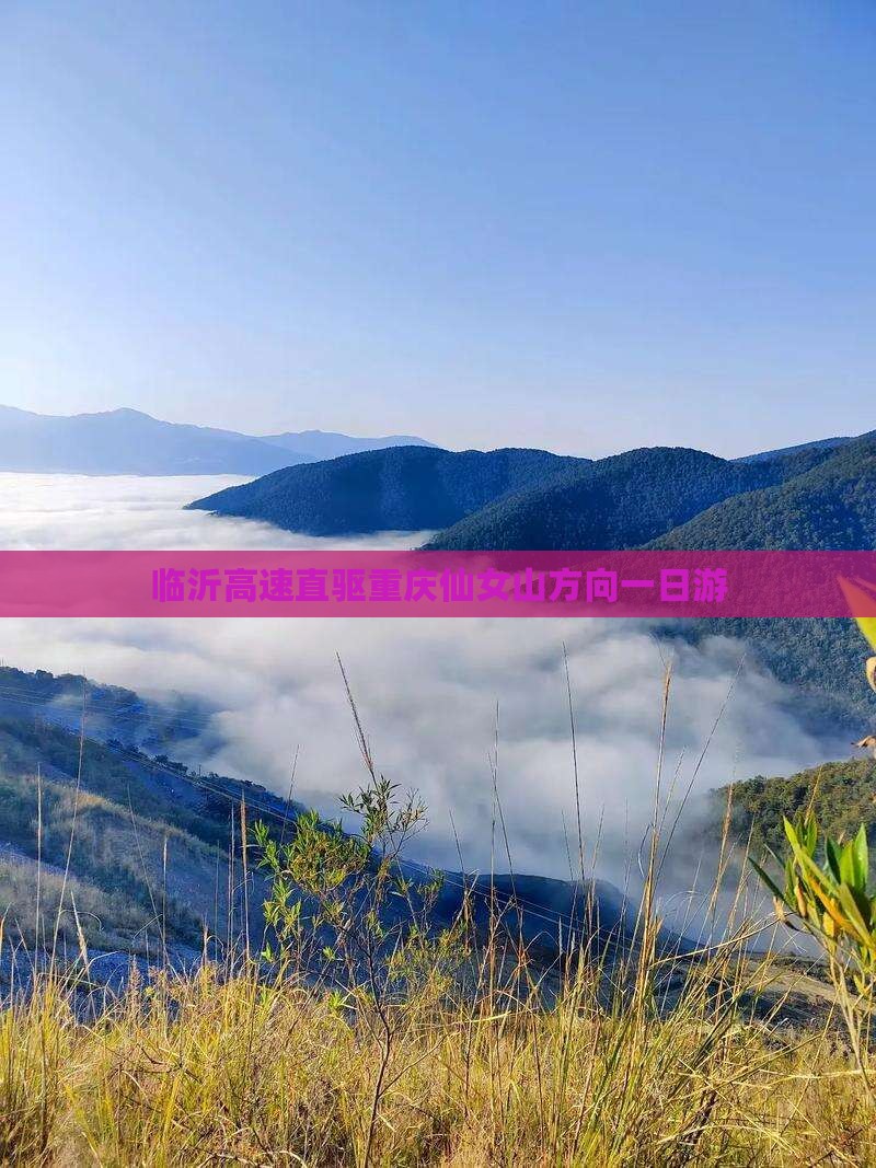 临沂高速直驱重庆仙女山方向一日游