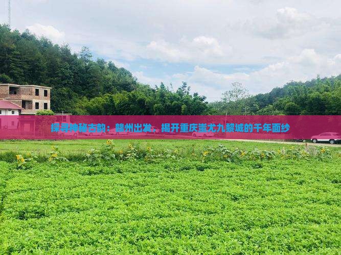 探寻神秘古韵：赣州出发，揭开重庆蚩尤九黎城的千年面纱
