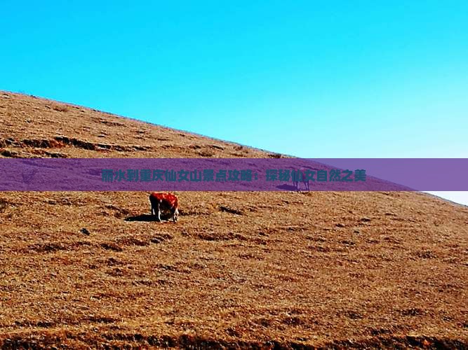 丽水到重庆仙女山景点攻略：探秘仙女自然之美