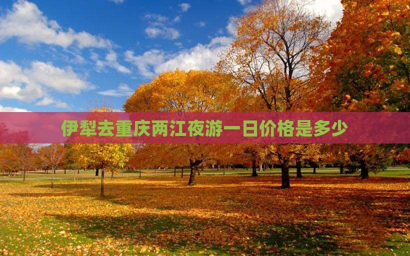 伊犁去重庆两江夜游一日价格是多少